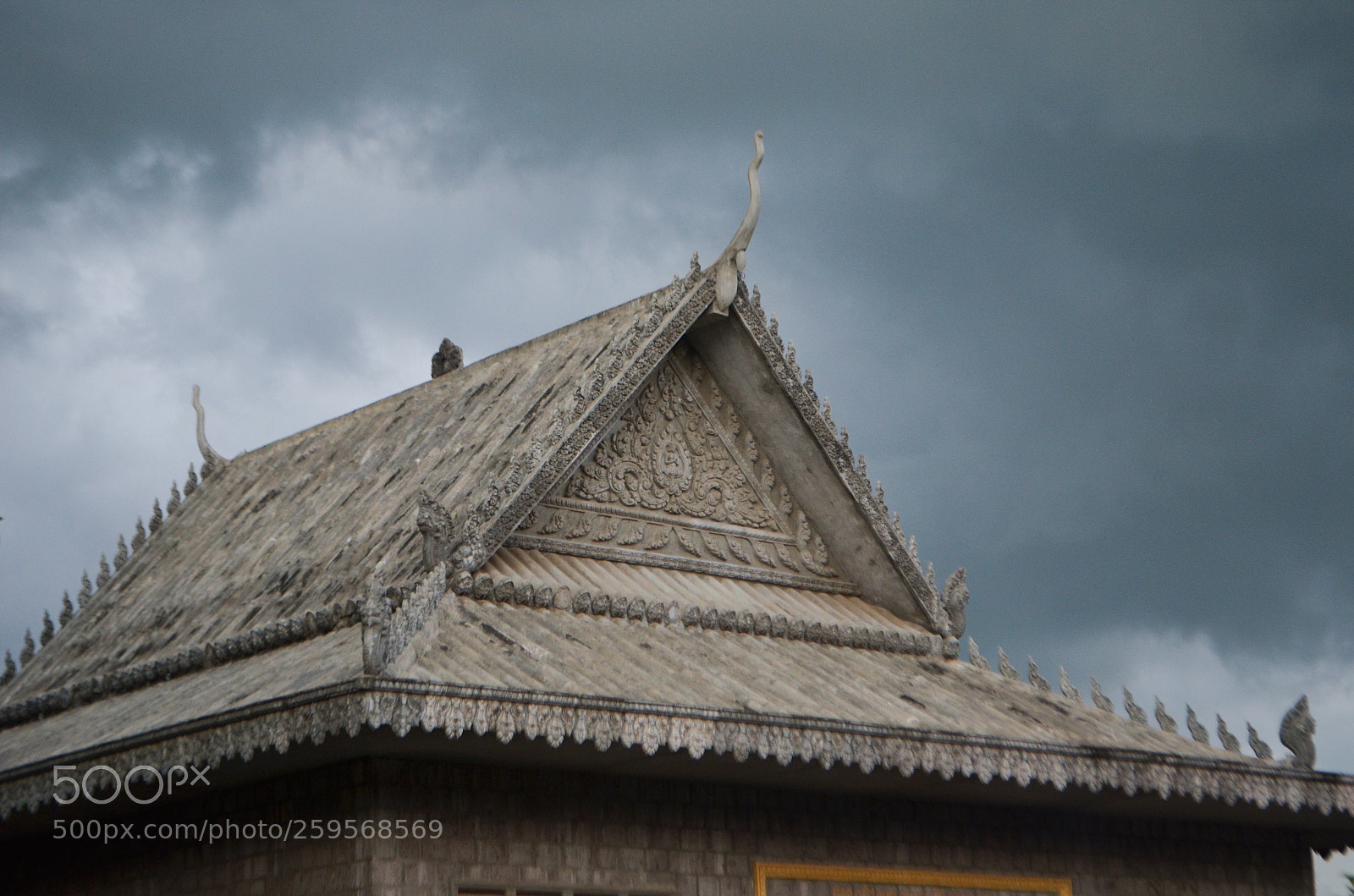 Nikon D5100 sample photo. Untitled photography