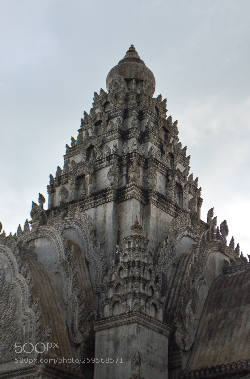 Nikon D5100 sample photo. Untitled photography