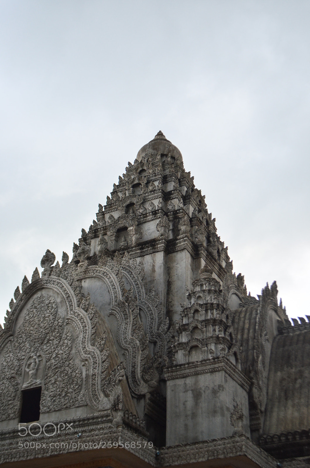 Nikon D5100 sample photo. Untitled photography