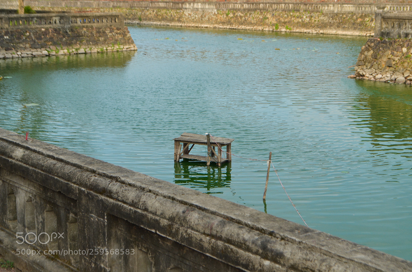Nikon D5100 sample photo. Untitled photography