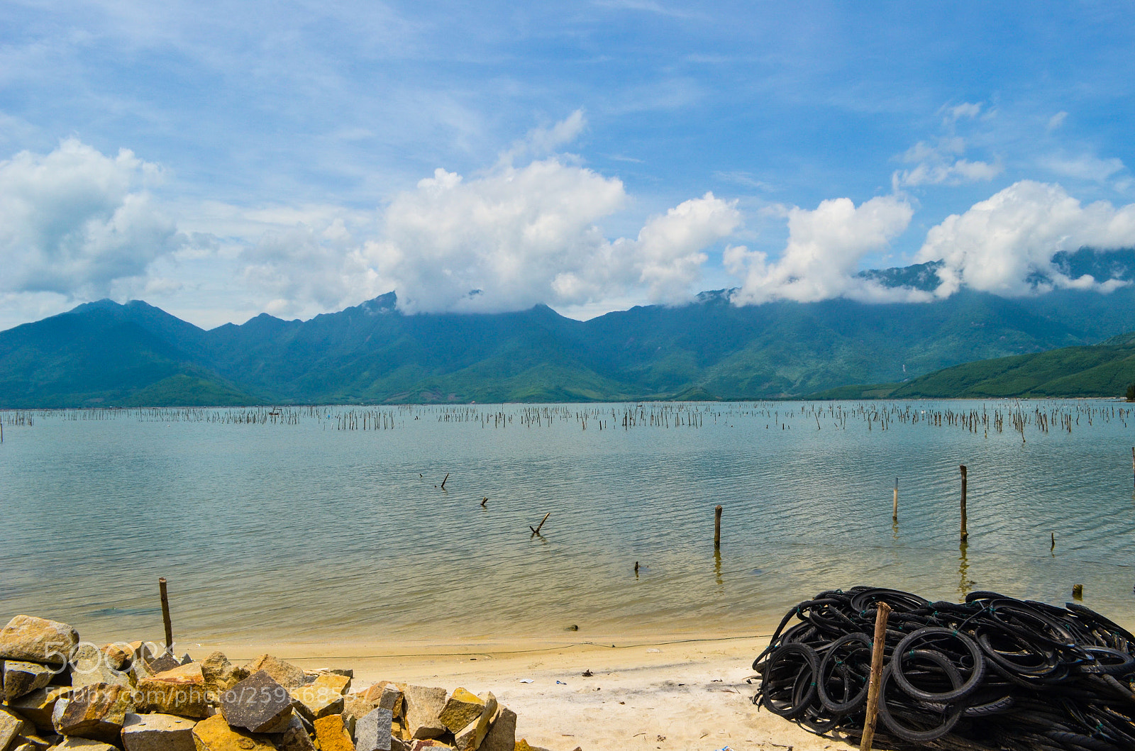 Nikon D5100 sample photo. Untitled photography