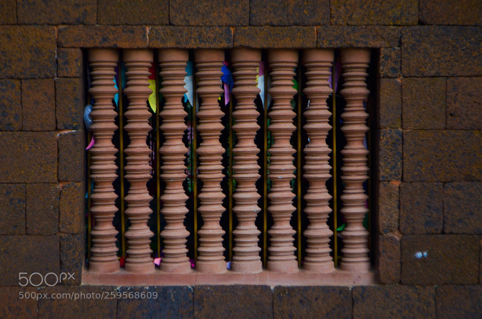 Nikon D5100 sample photo. Untitled photography