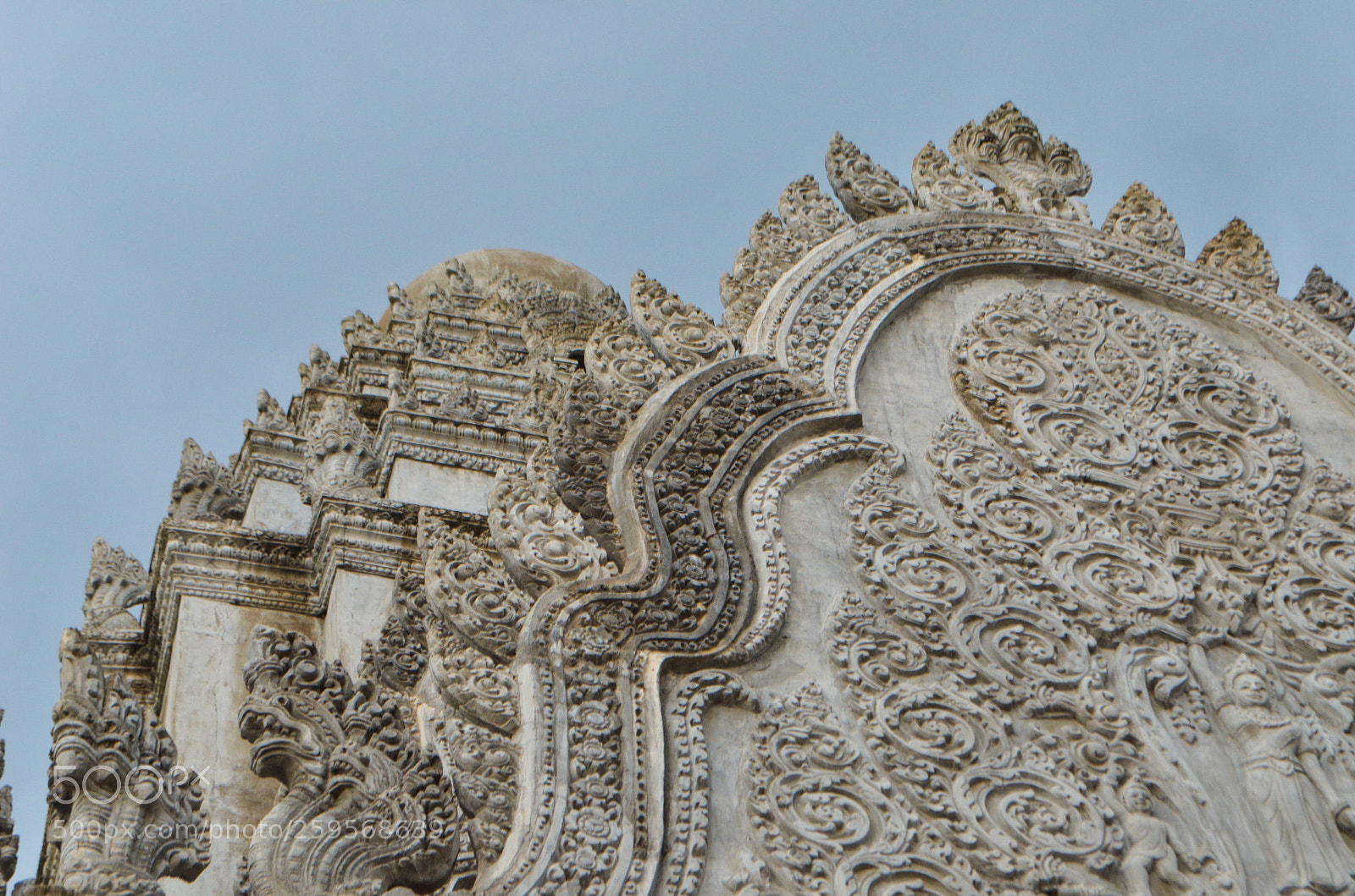Nikon D5100 sample photo. Untitled photography