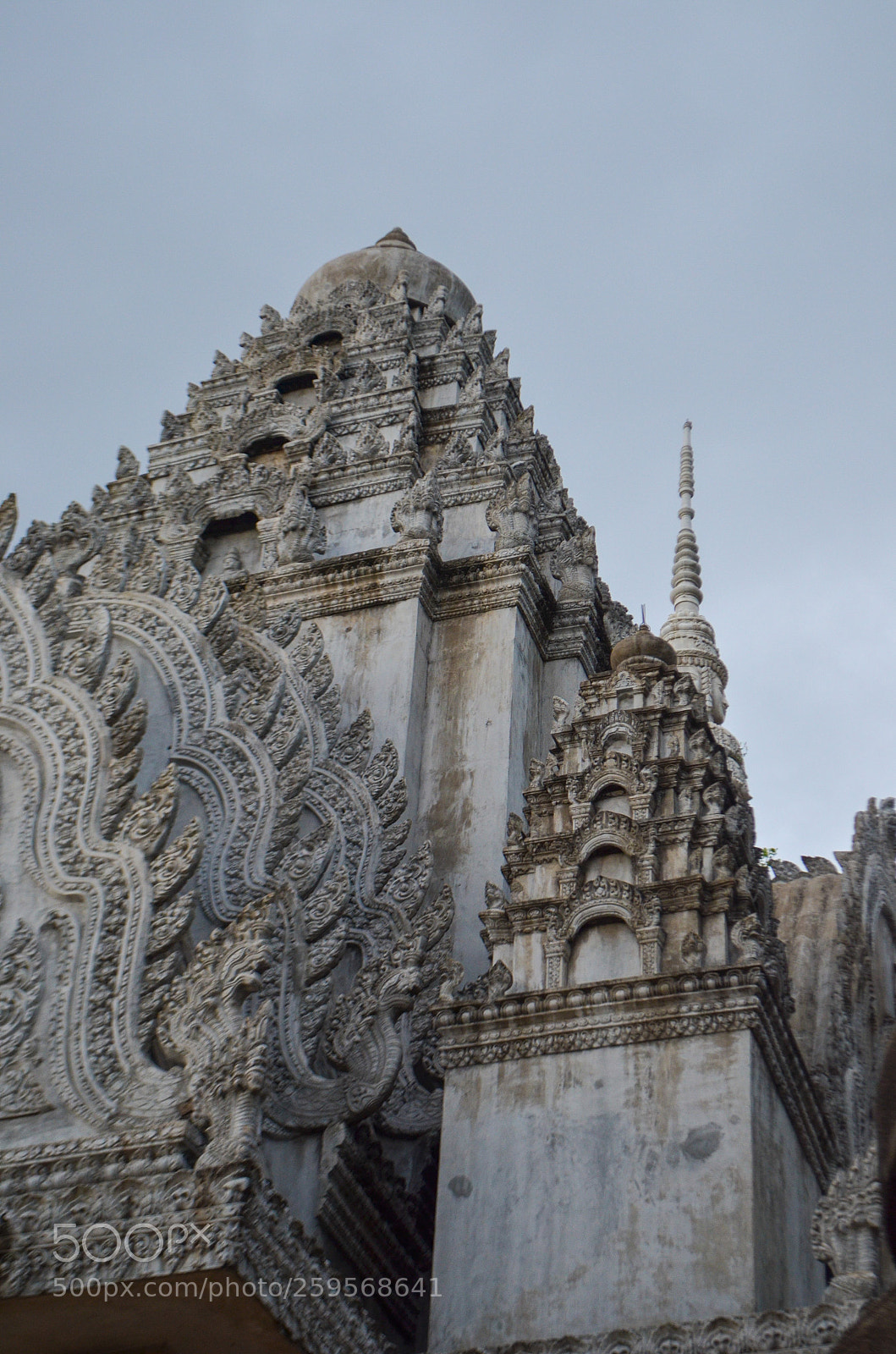 Nikon D5100 sample photo. Untitled photography