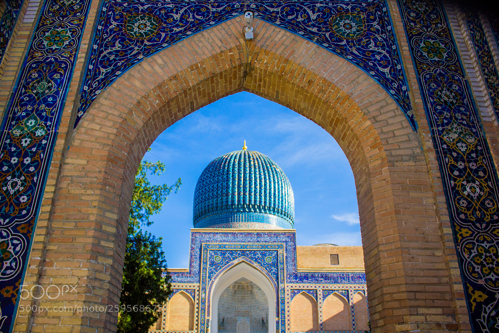 Canon EOS 550D (EOS Rebel T2i / EOS Kiss X4) sample photo. Uzbekistan photography