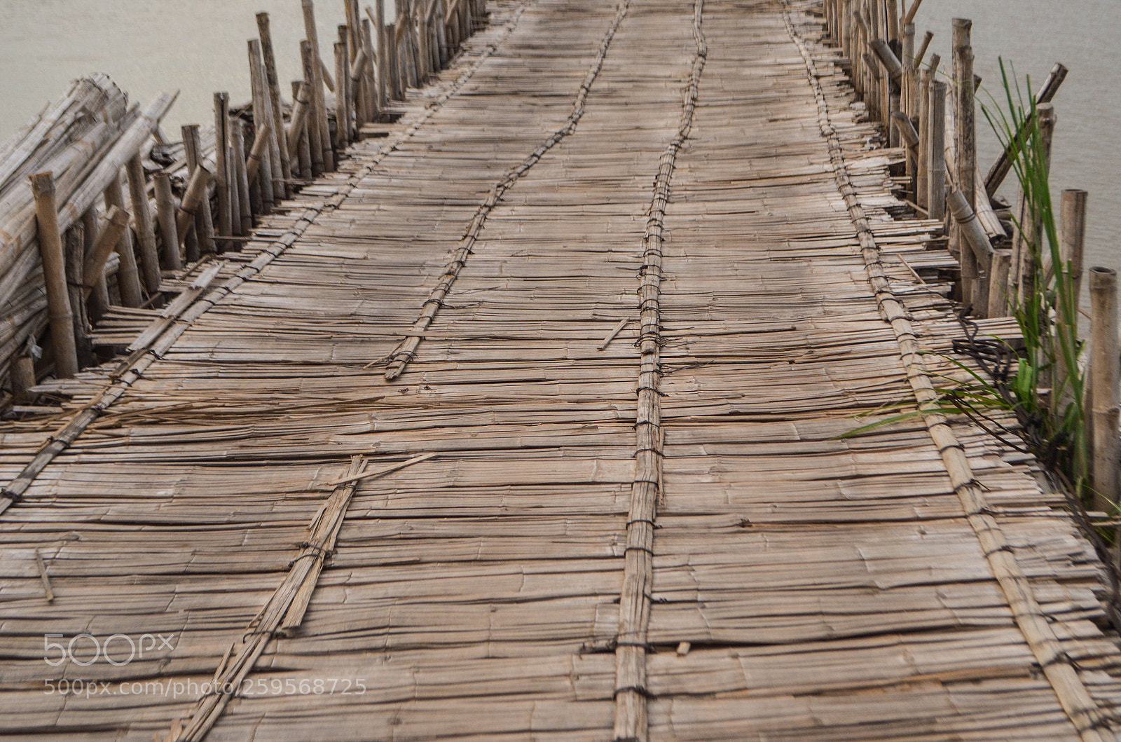 Nikon D5100 sample photo. Untitled photography