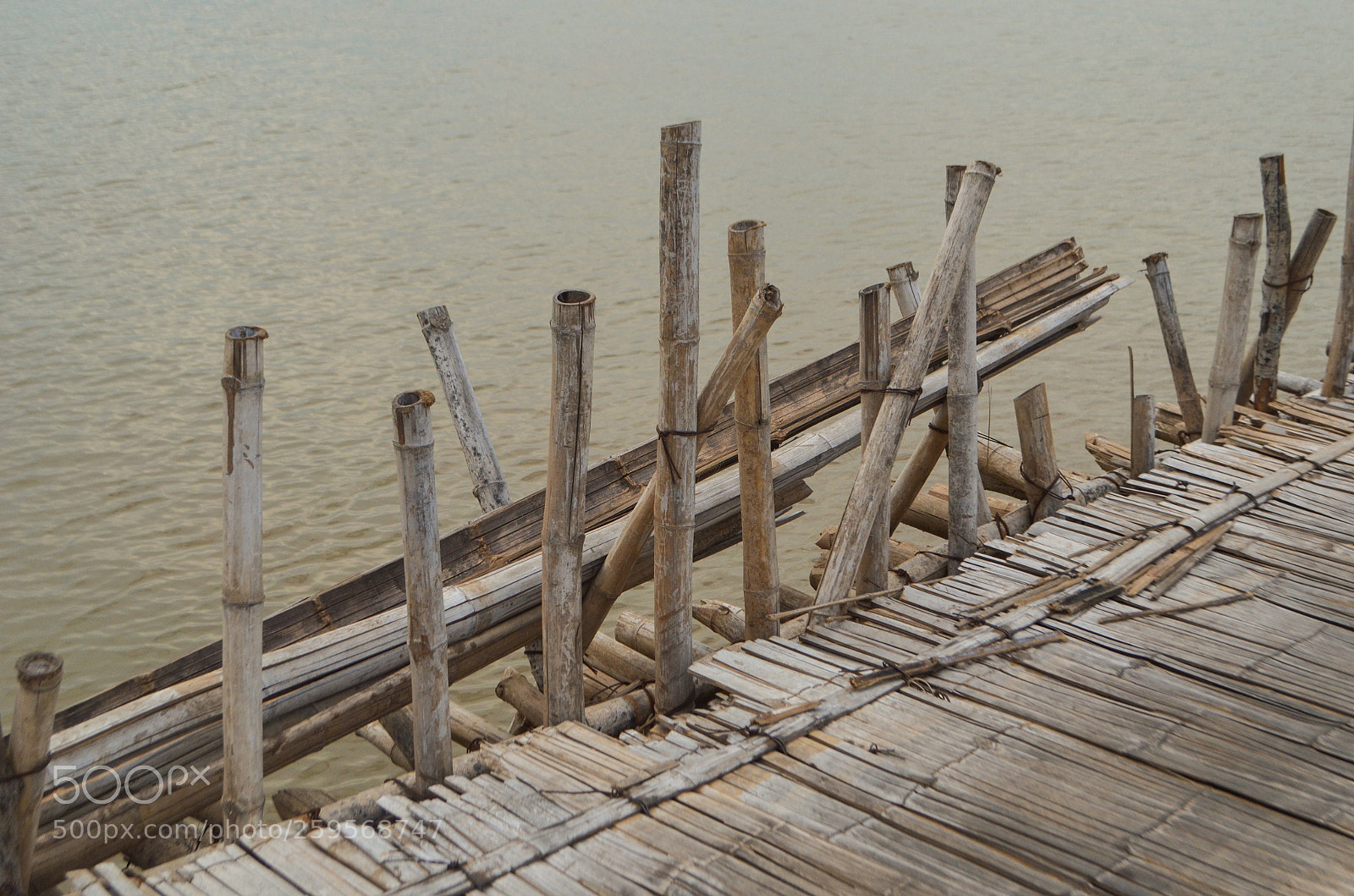 Nikon D5100 sample photo. Untitled photography