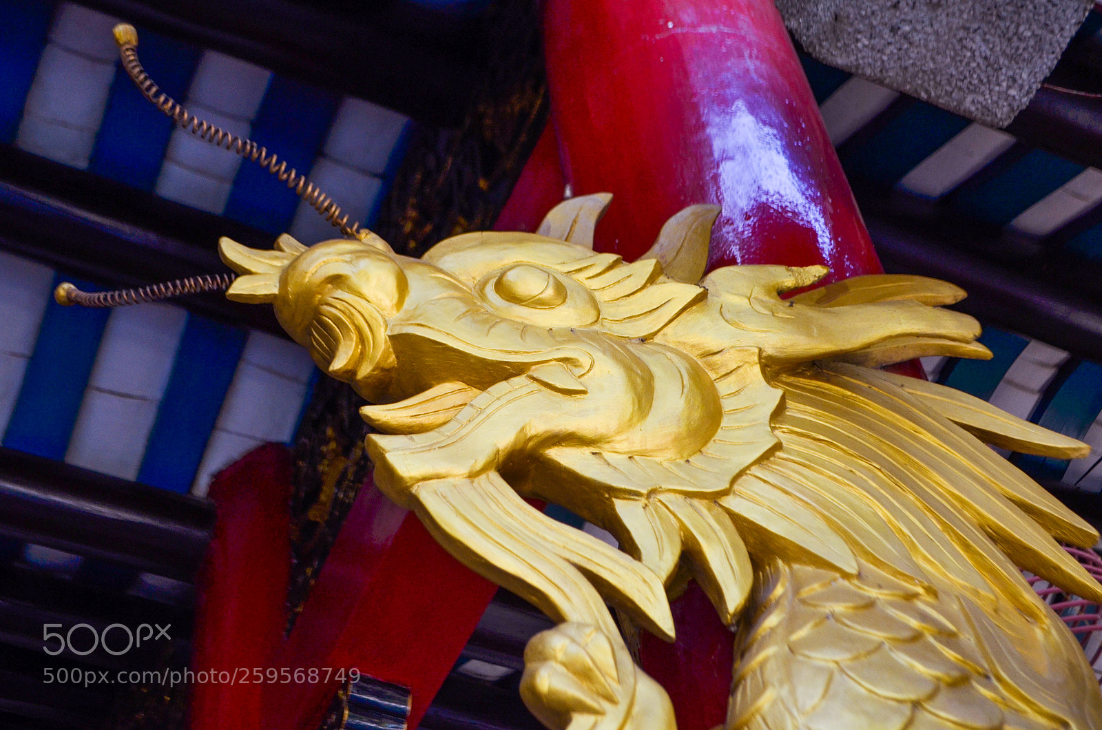 Nikon D5100 sample photo. Untitled photography