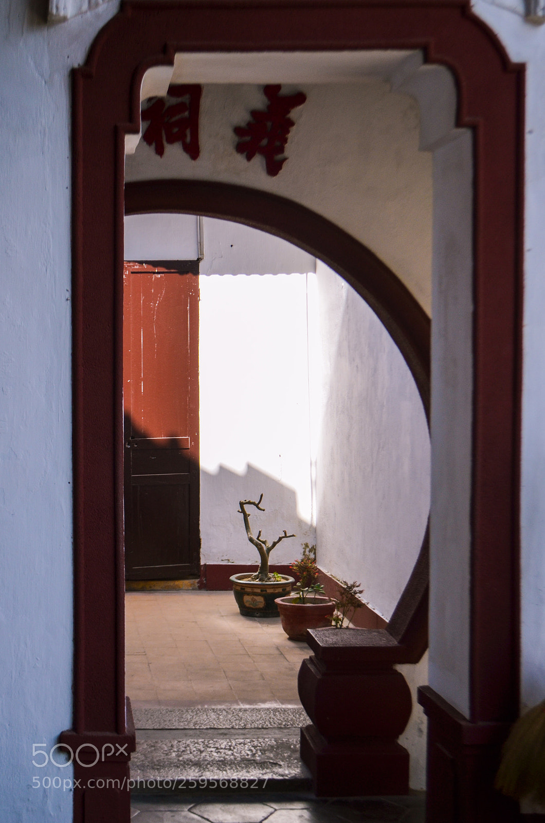 Nikon D5100 sample photo. Untitled photography