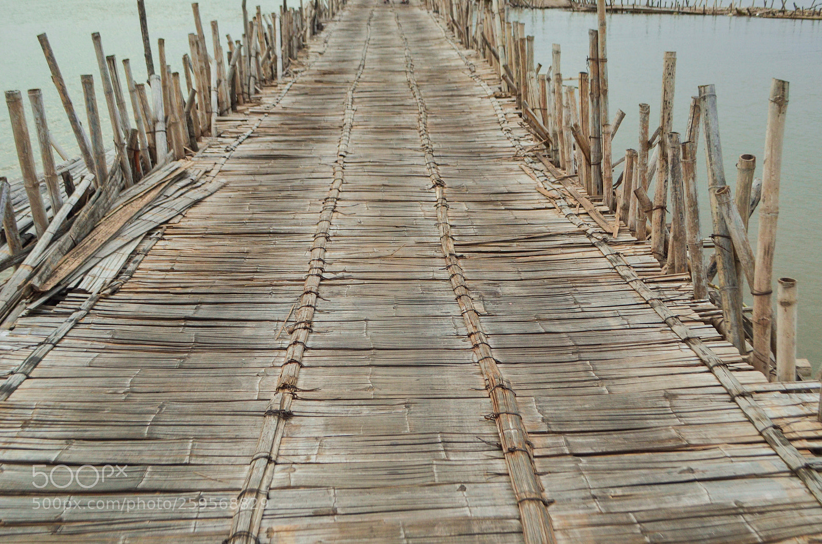 Nikon D5100 sample photo. Untitled photography