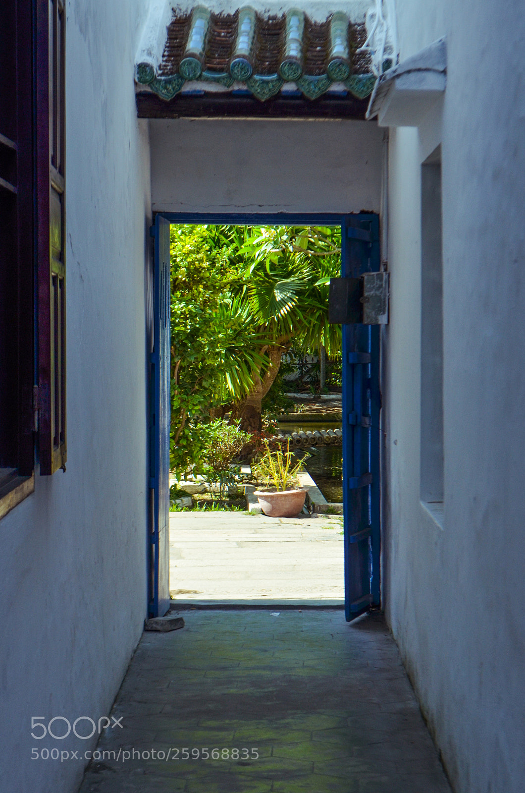 Nikon D5100 sample photo. Untitled photography