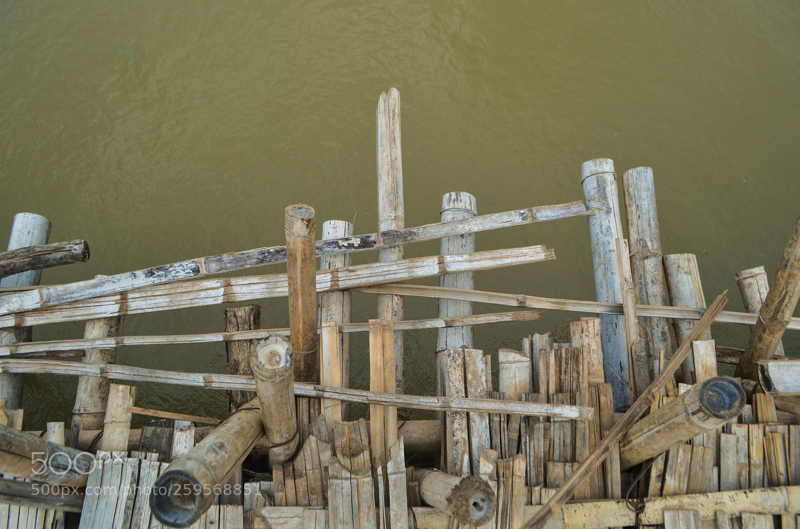 Nikon D5100 sample photo. Untitled photography