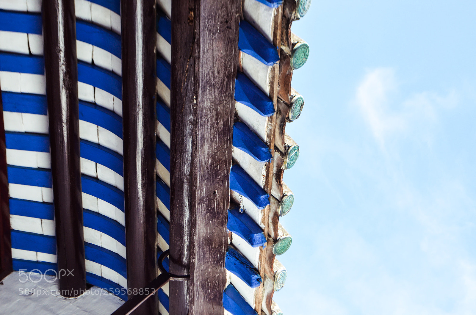 Nikon D5100 sample photo. Untitled photography