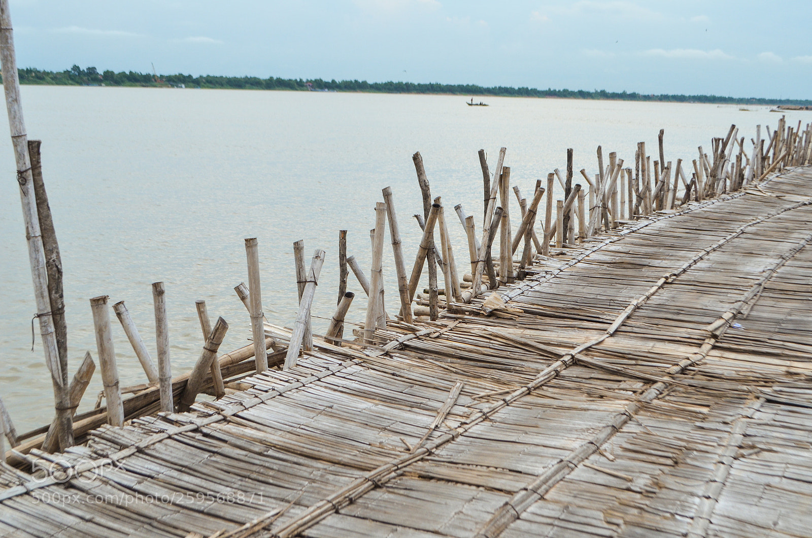 Nikon D5100 sample photo. Bamboo bridge photography