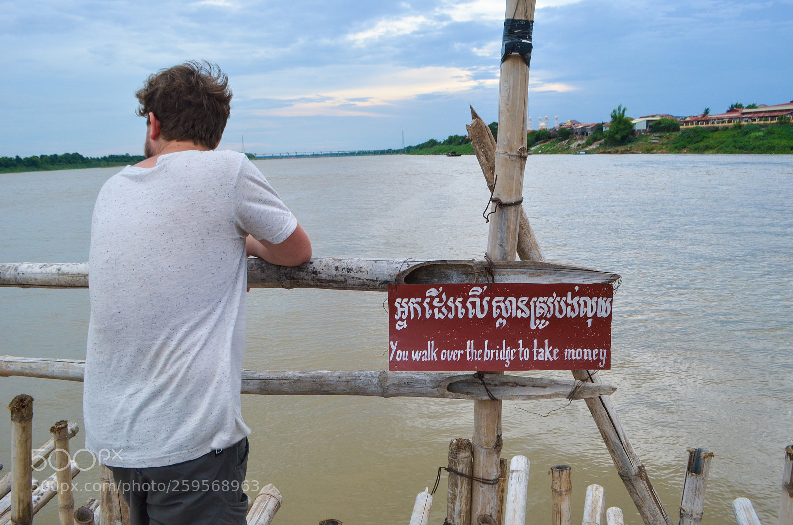 Nikon D5100 sample photo. Untitled photography