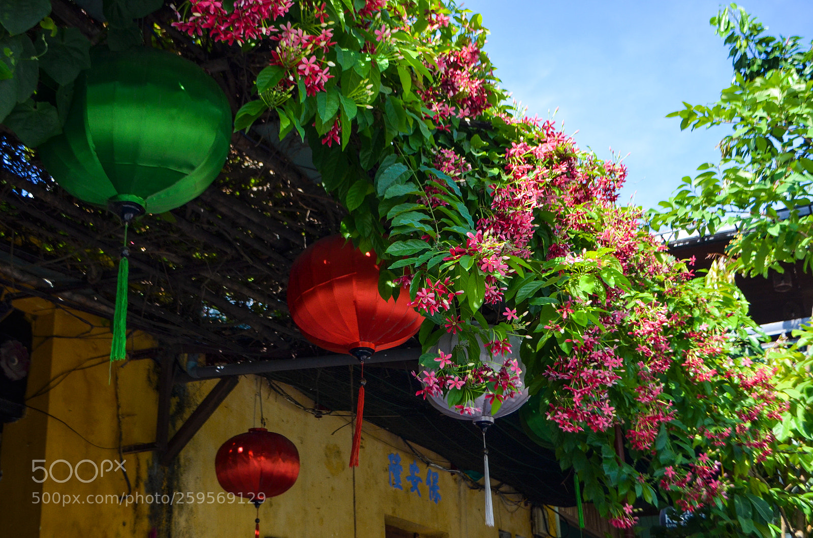 Nikon D5100 sample photo. Untitled photography