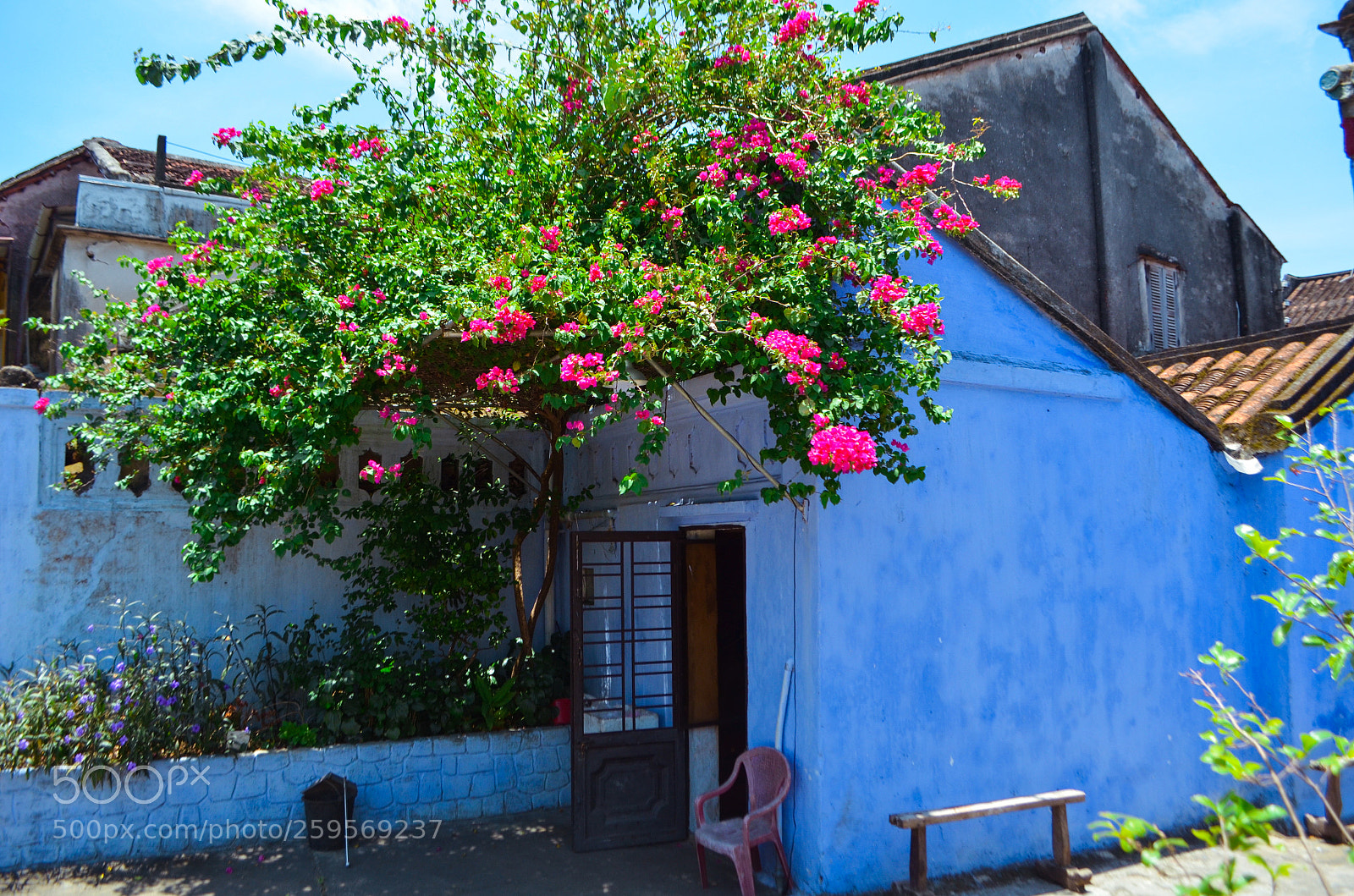 Nikon D5100 sample photo. Untitled photography