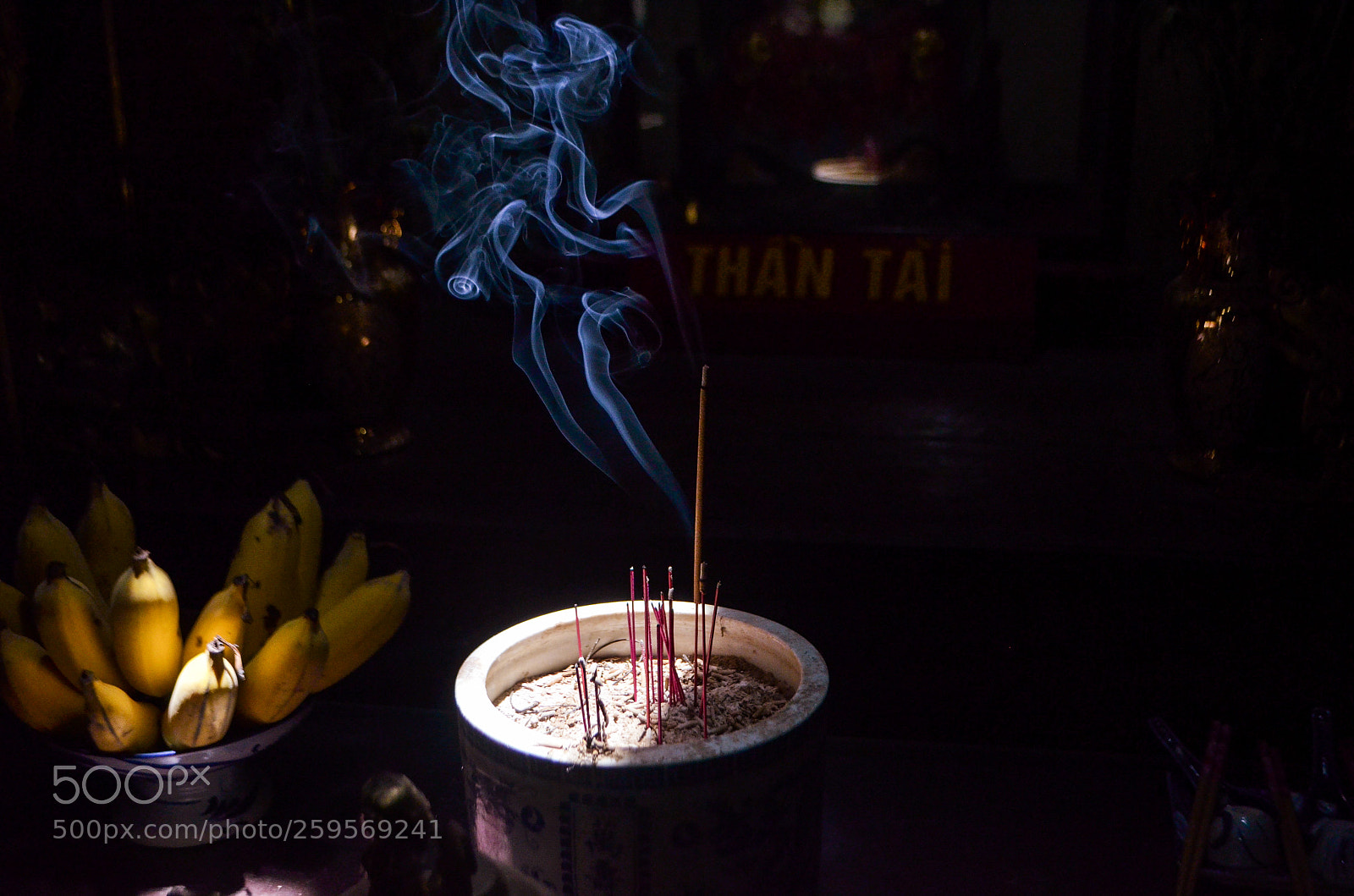 Nikon D5100 sample photo. Untitled photography