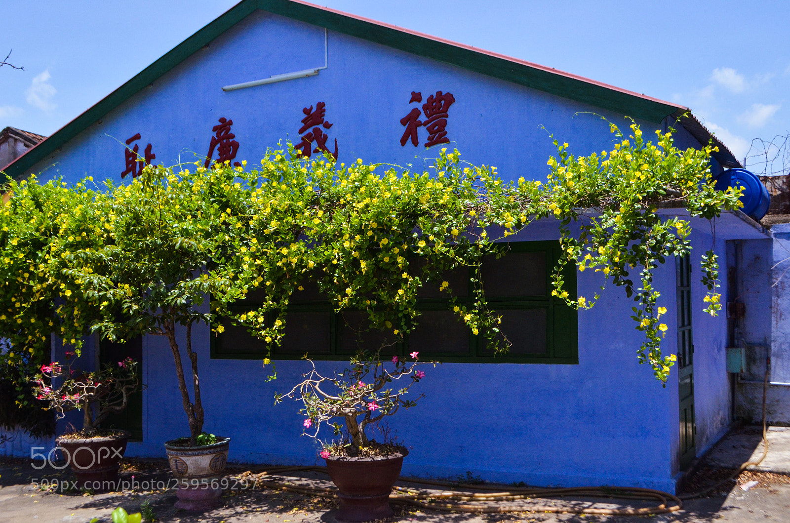 Nikon D5100 sample photo. Untitled photography