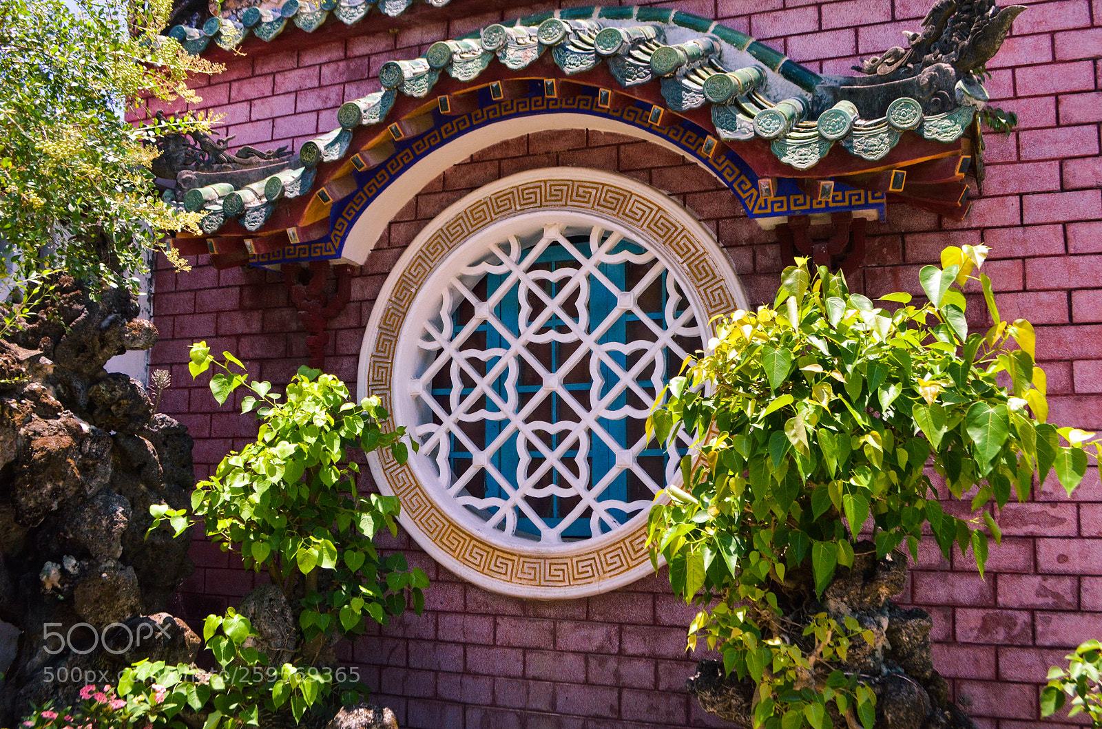 Nikon D5100 sample photo. Untitled photography