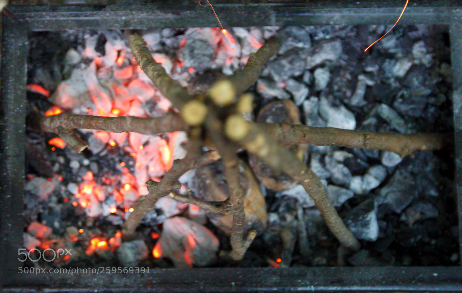 Canon EOS 700D (EOS Rebel T5i / EOS Kiss X7i) sample photo. Siyah-beyaz photography