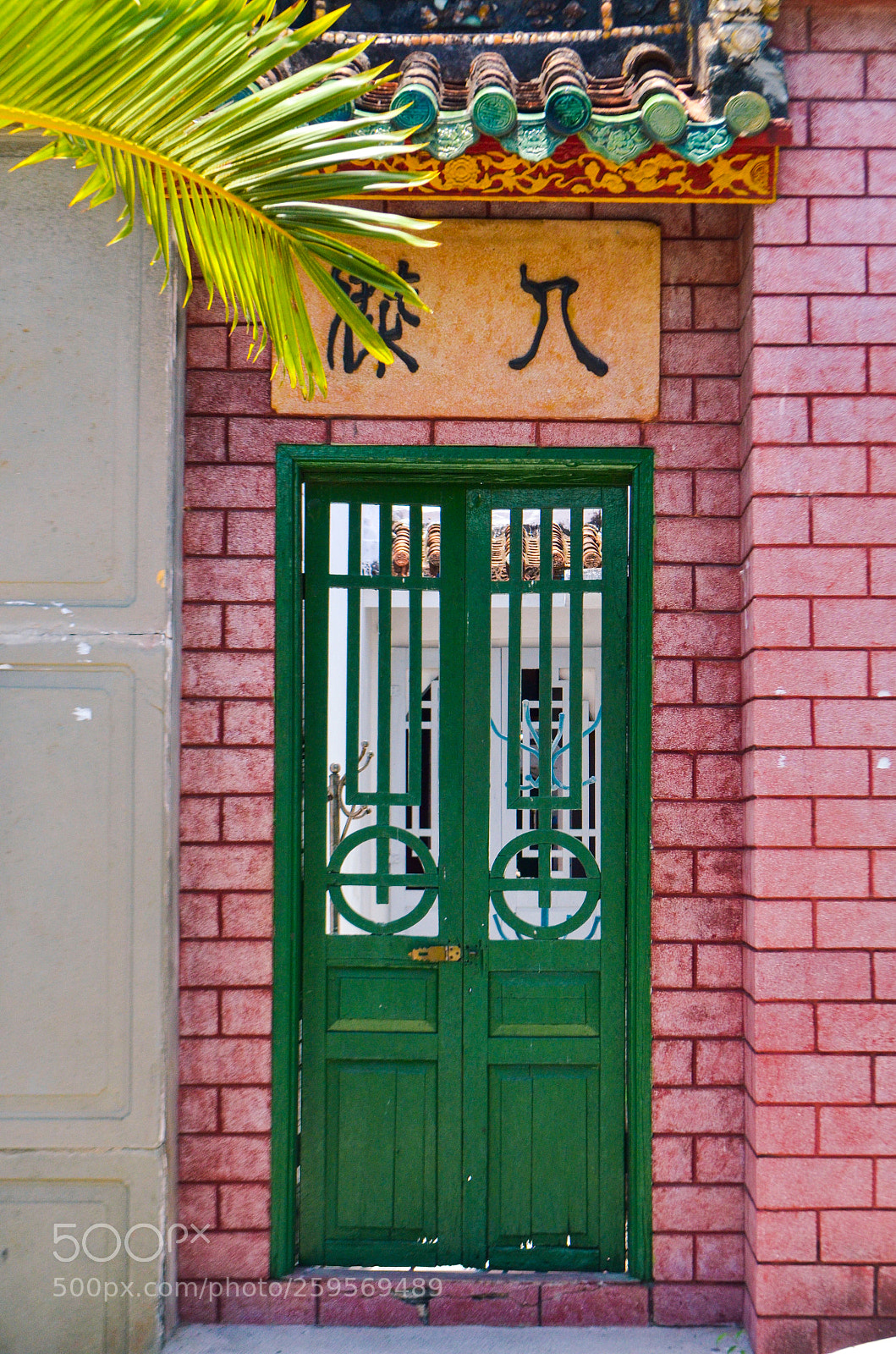 Nikon D5100 sample photo. Untitled photography