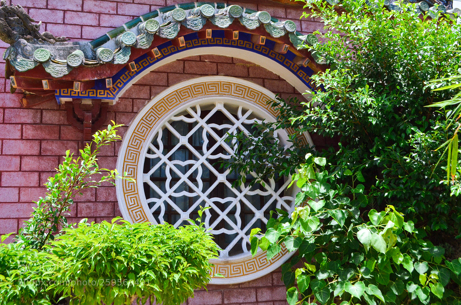 Nikon D5100 sample photo. Untitled photography