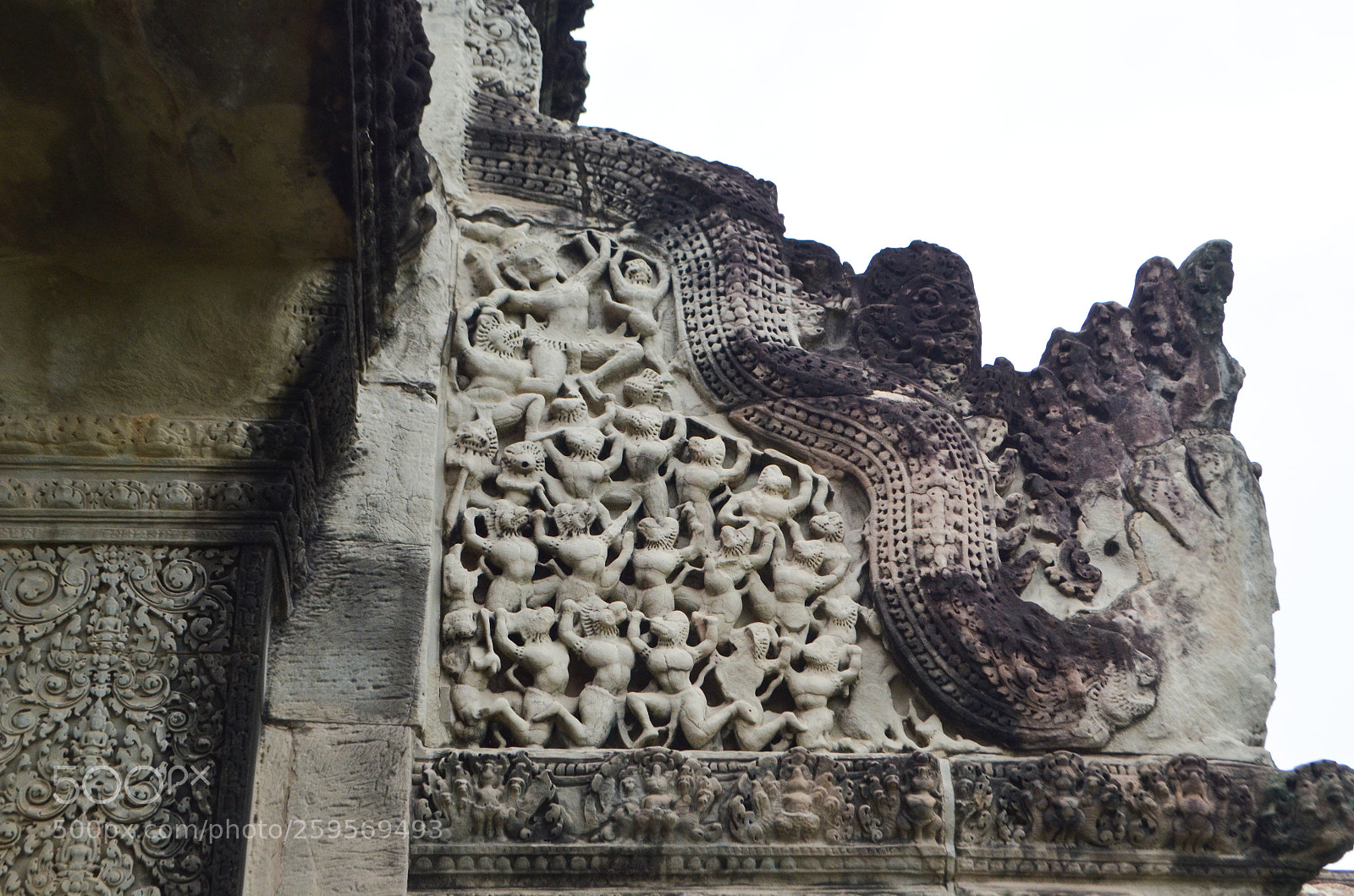 Nikon D5100 sample photo. Untitled photography