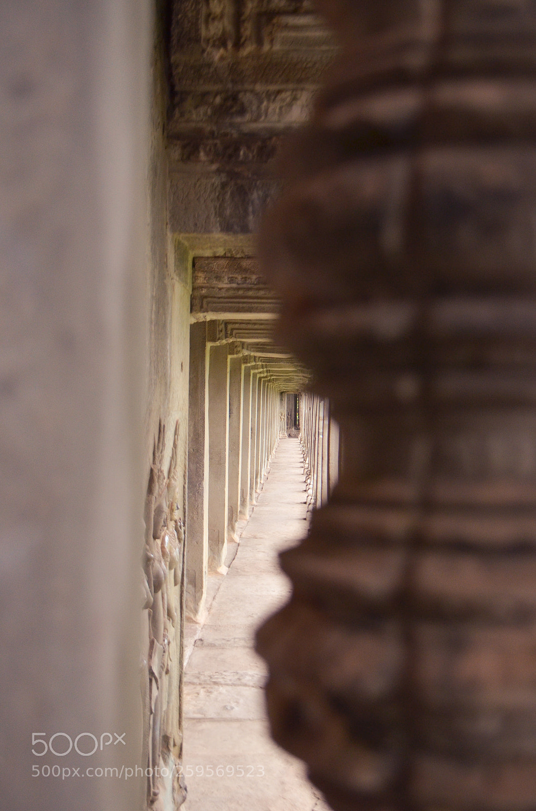 Nikon D5100 sample photo. Untitled photography