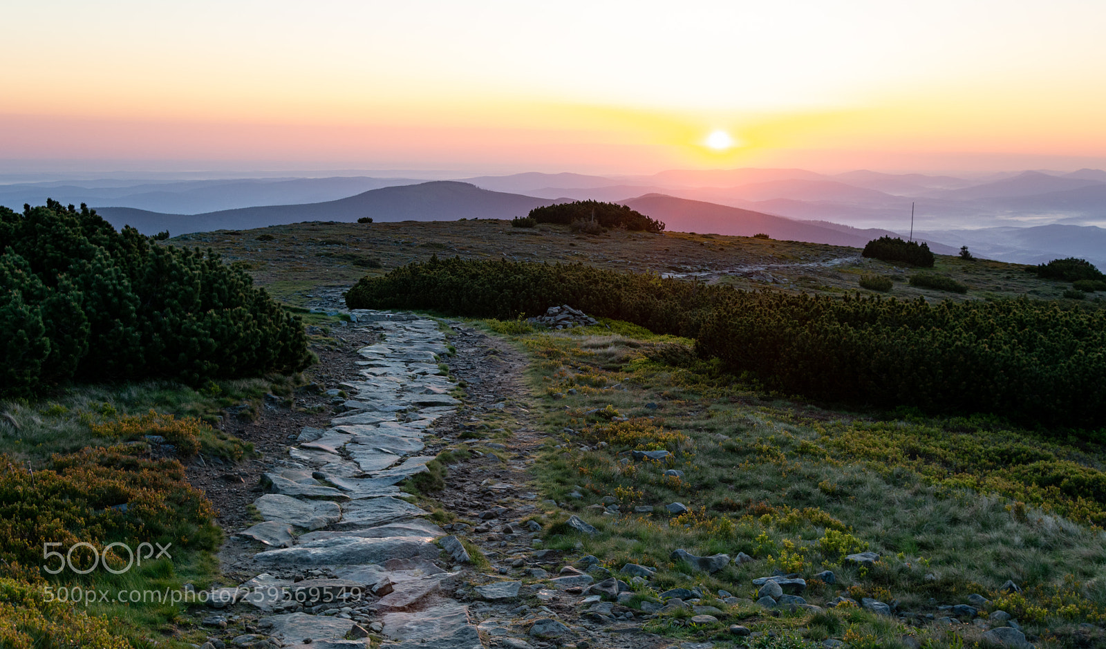 Nikon D7100 sample photo. Devil's peak path photography