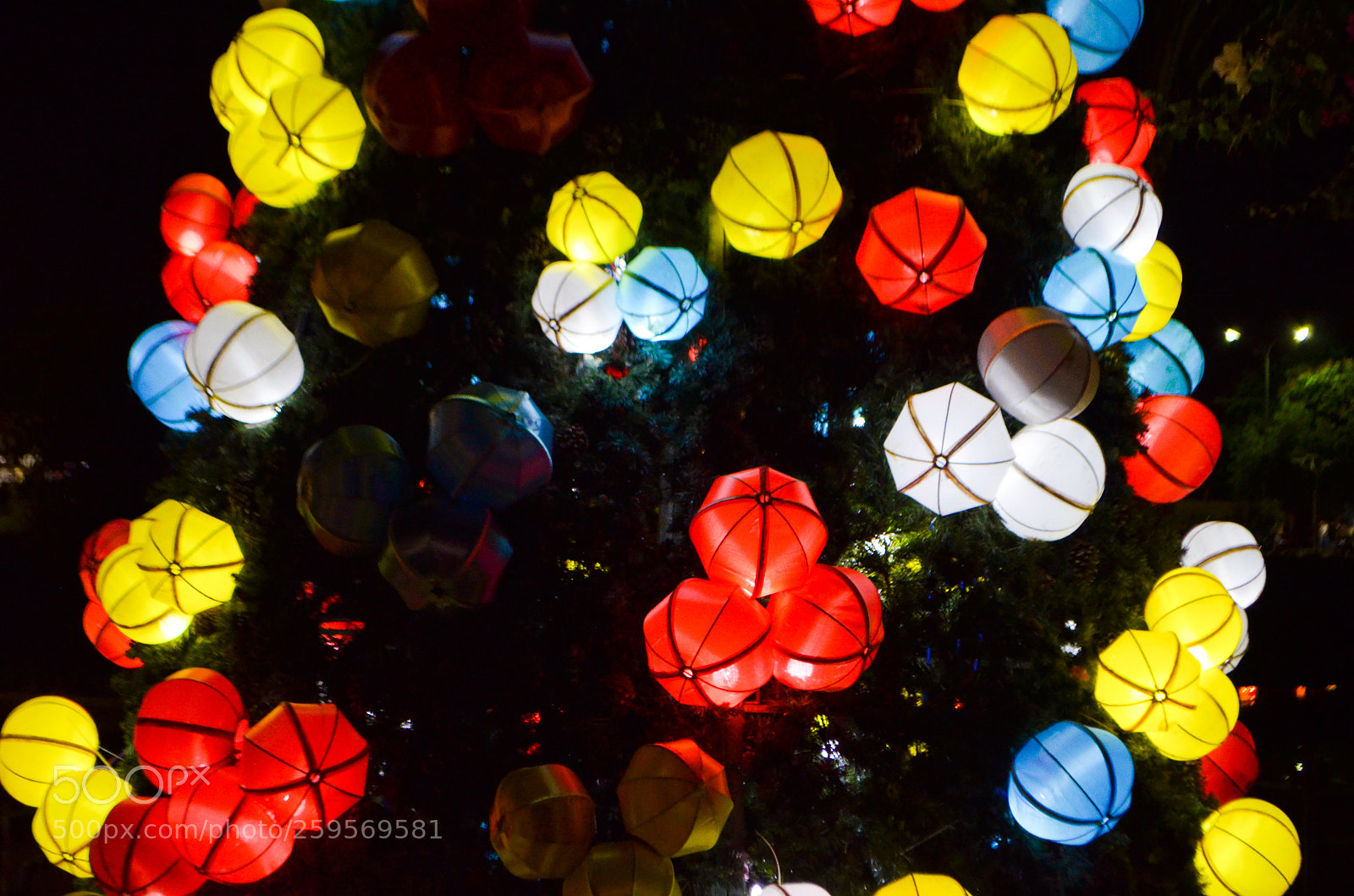 Nikon D5100 sample photo. Untitled photography