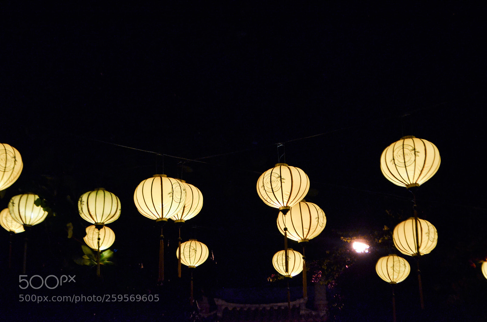 Nikon D5100 sample photo. Untitled photography