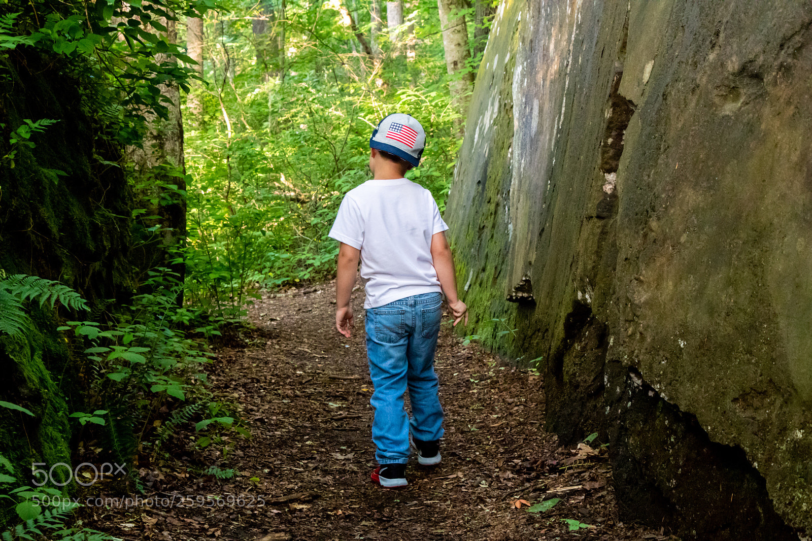 Canon EOS 80D sample photo. A little hike  photography