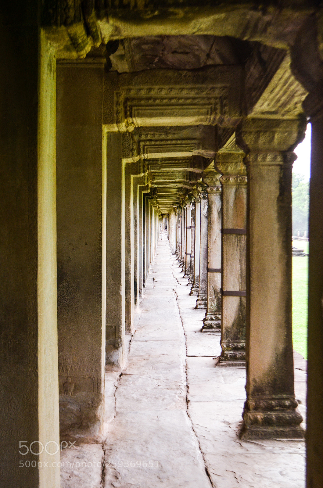 Nikon D5100 sample photo. Untitled photography