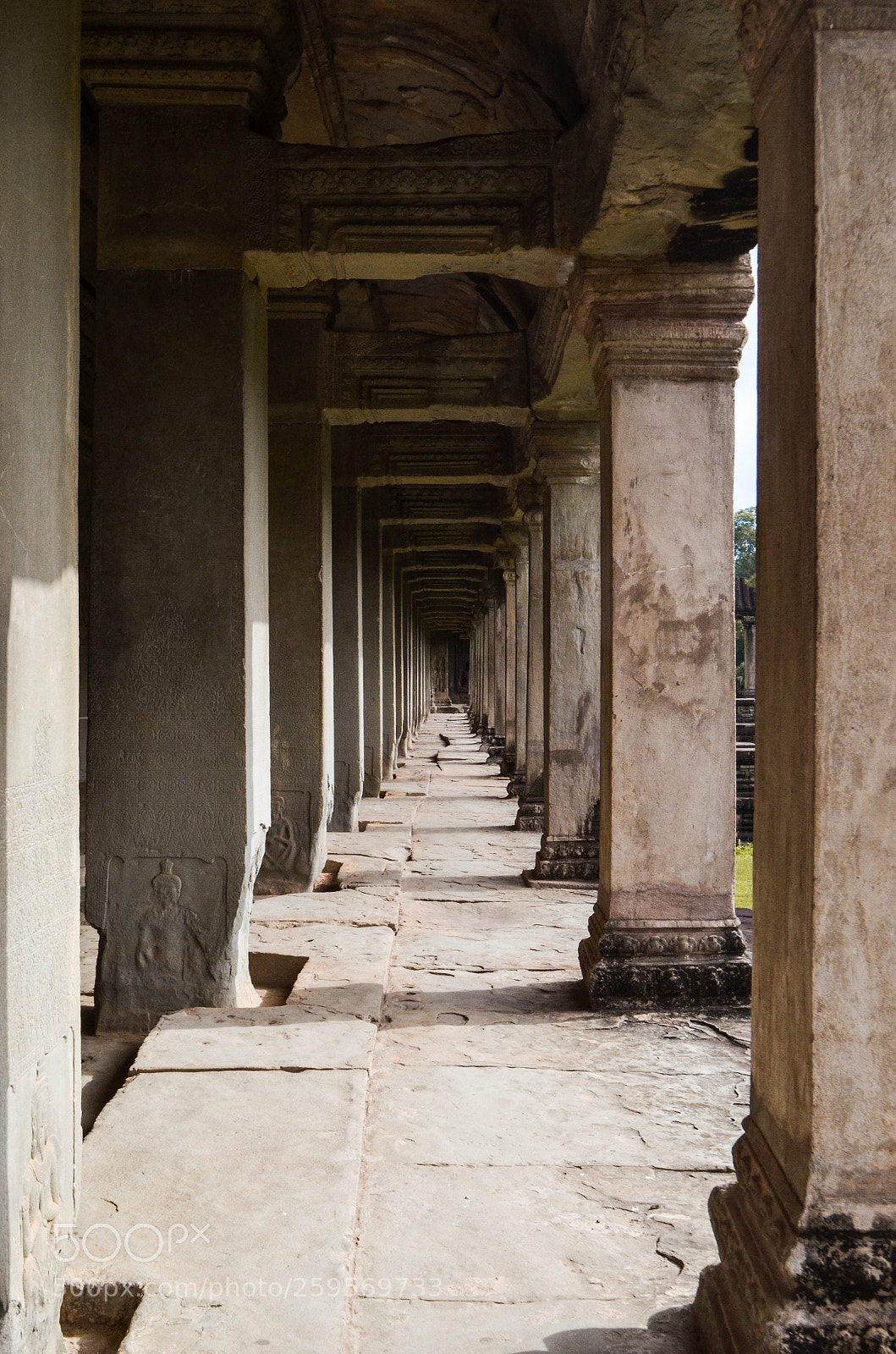 Nikon D5100 sample photo. Untitled photography