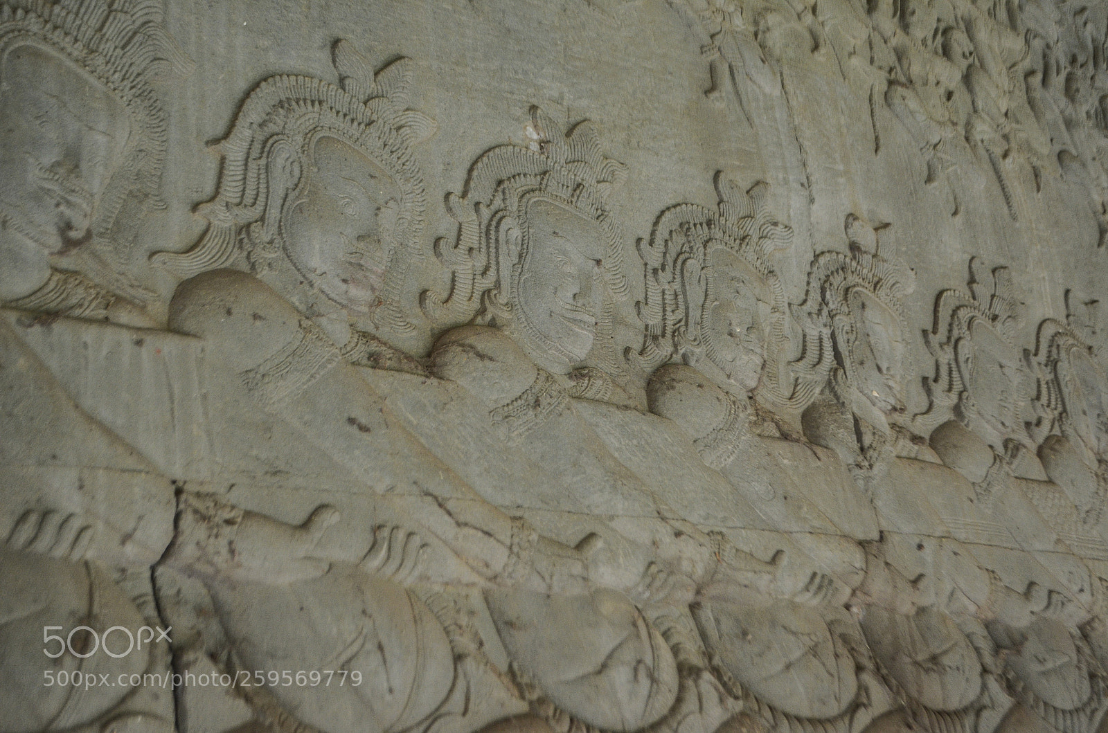 Nikon D5100 sample photo. Untitled photography