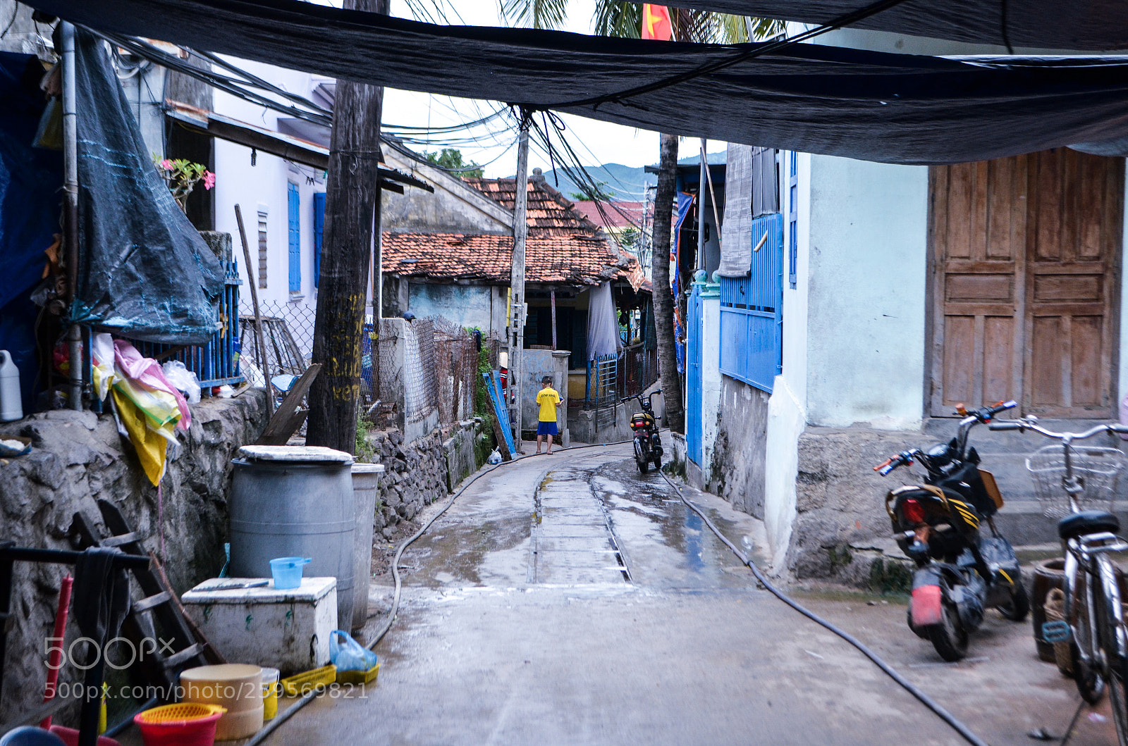 Nikon D5100 sample photo. Untitled photography