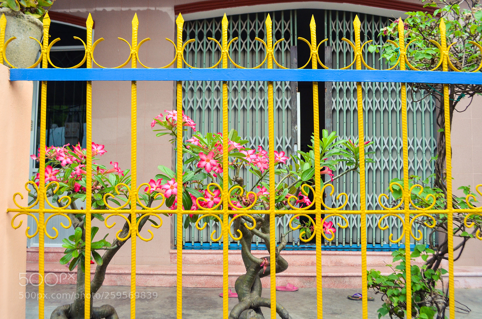 Nikon D5100 sample photo. Untitled photography