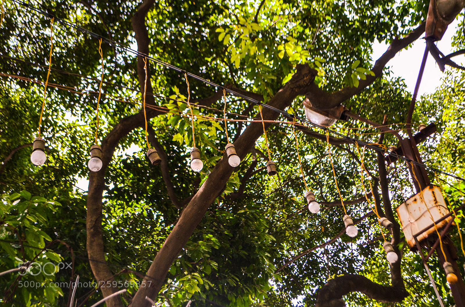 Nikon D5100 sample photo. Untitled photography