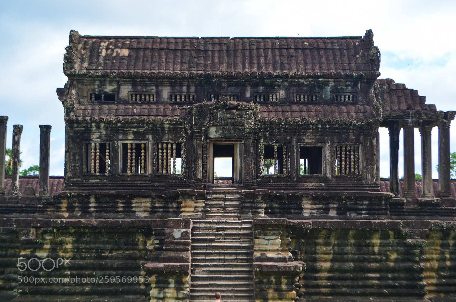 Nikon D5100 sample photo. Untitled photography