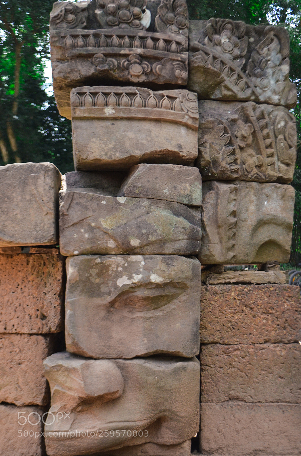 Nikon D5100 sample photo. Pieced together photography
