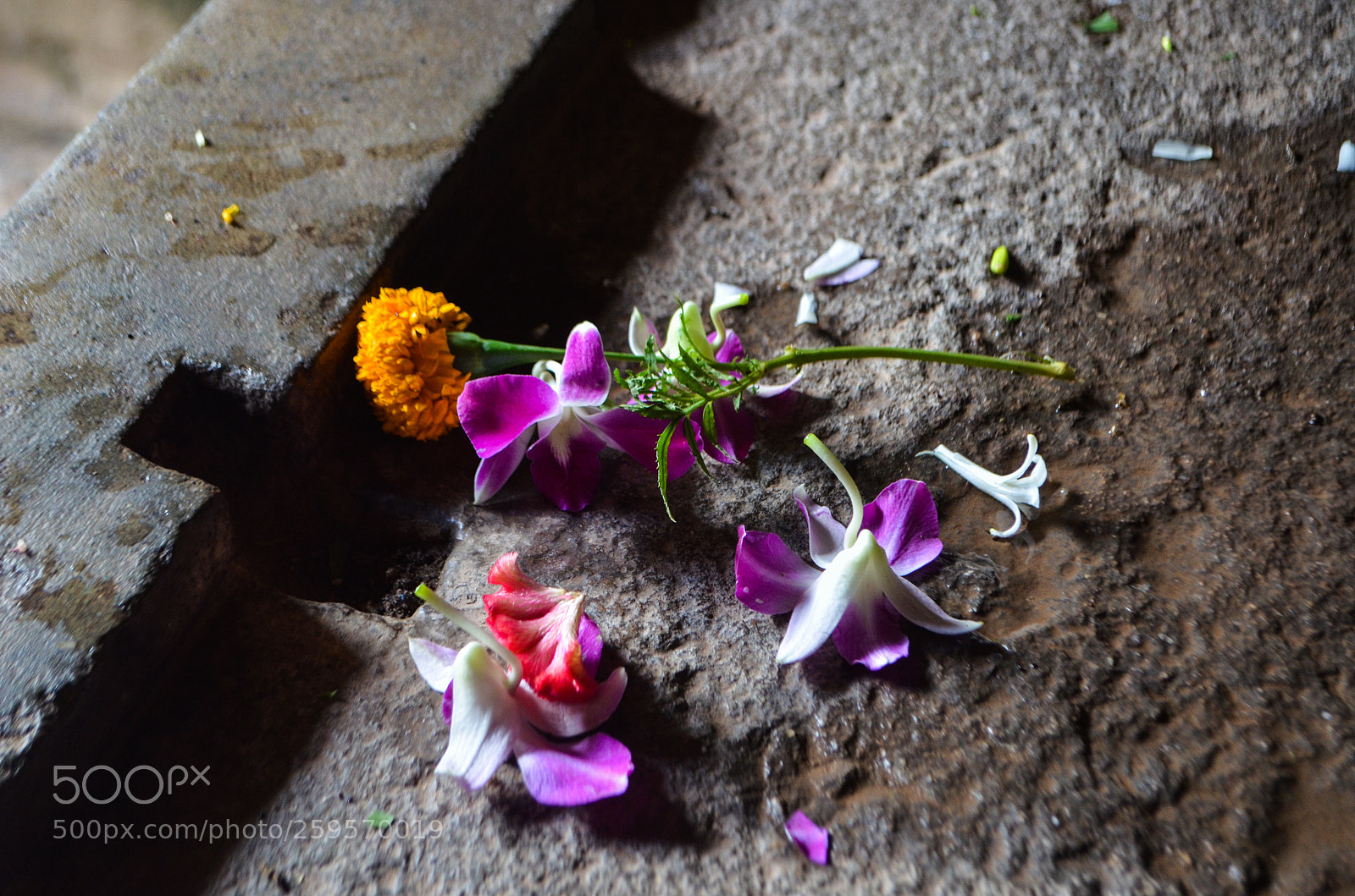 Nikon D5100 sample photo. Old offerings photography