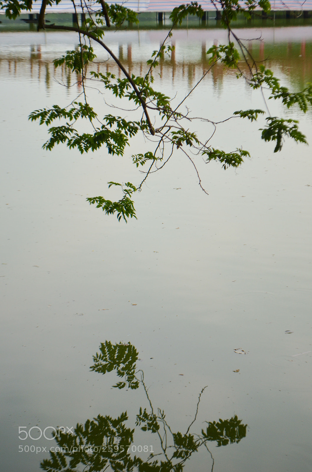 Nikon D5100 sample photo. Reaching photography