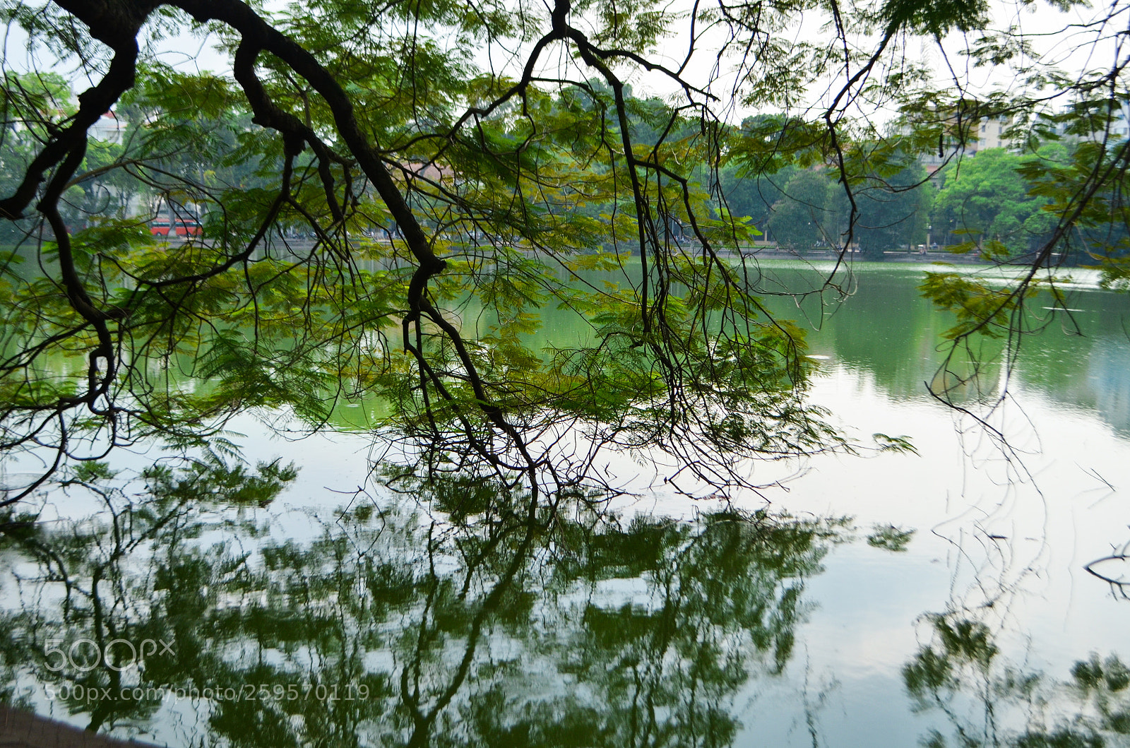 Nikon D5100 sample photo. Mirror lake photography