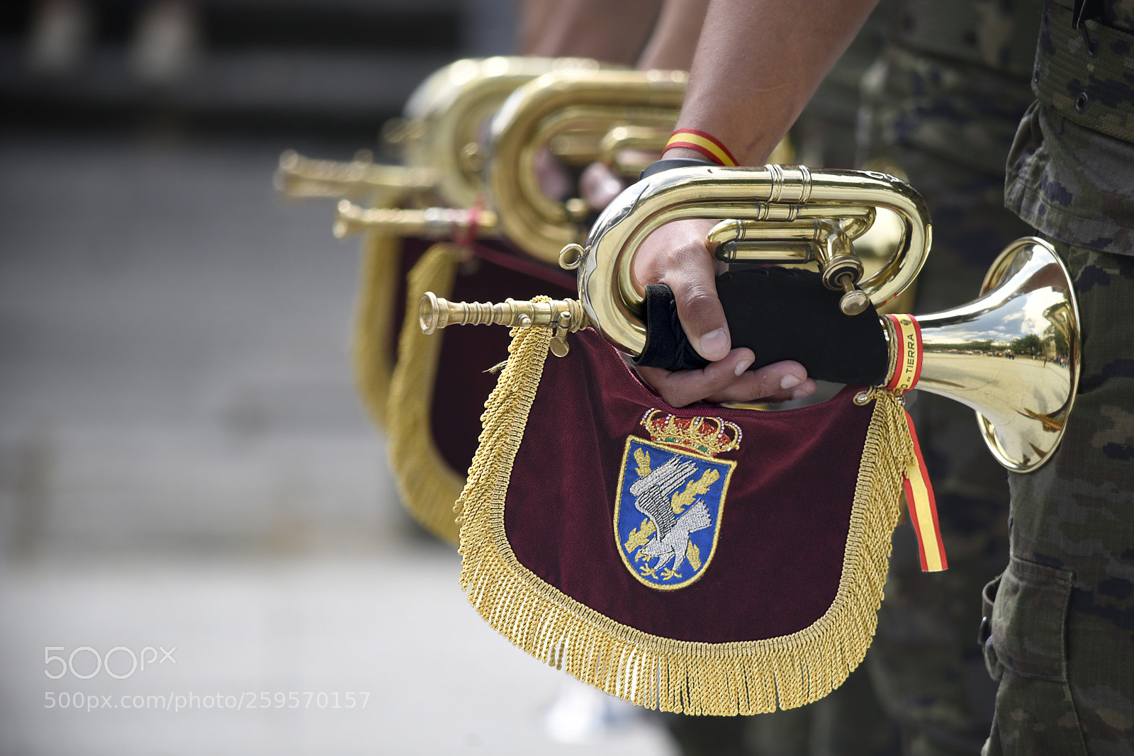Nikon D750 sample photo. Ffaa photography