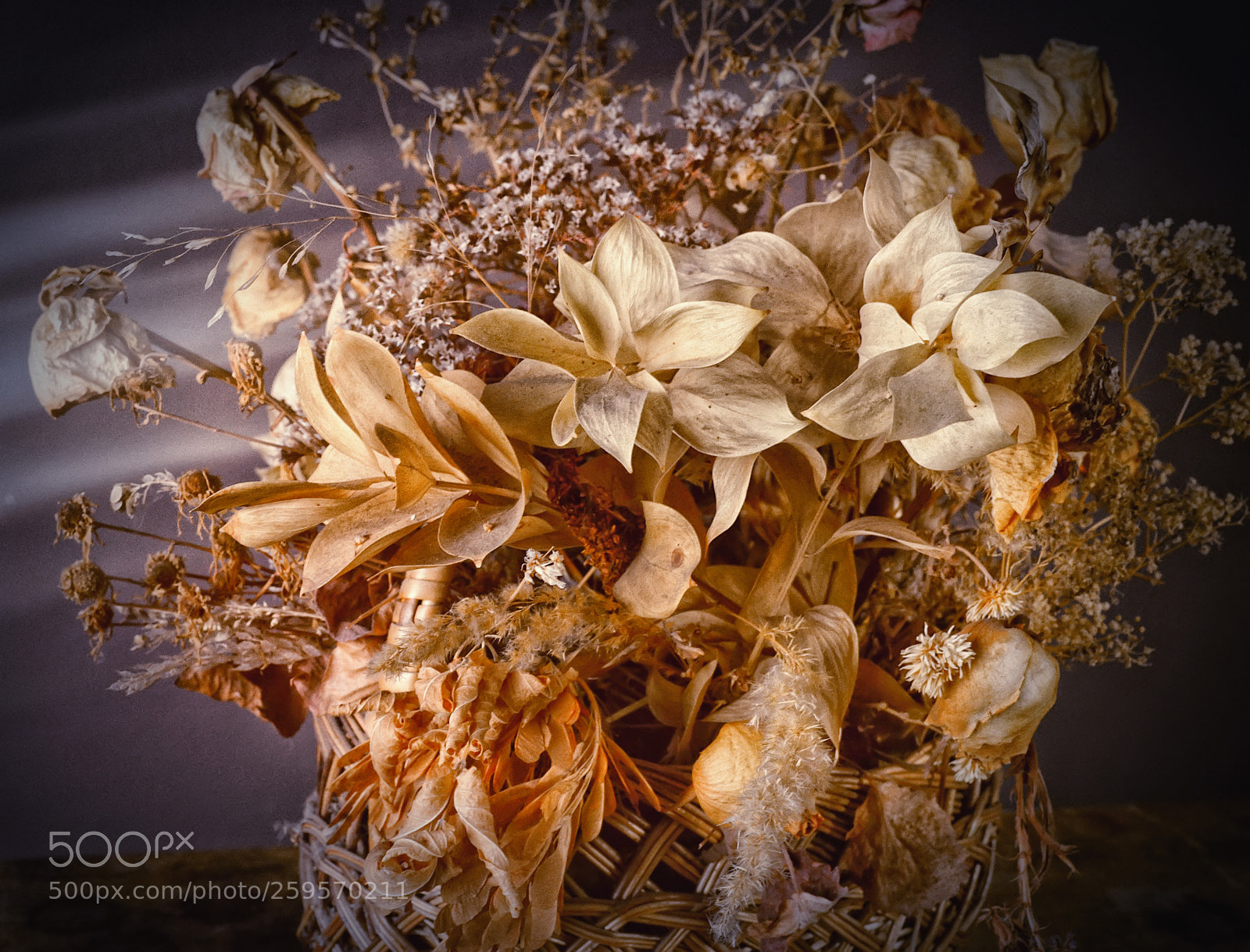 Nikon D800 sample photo. Ратюрморт photography