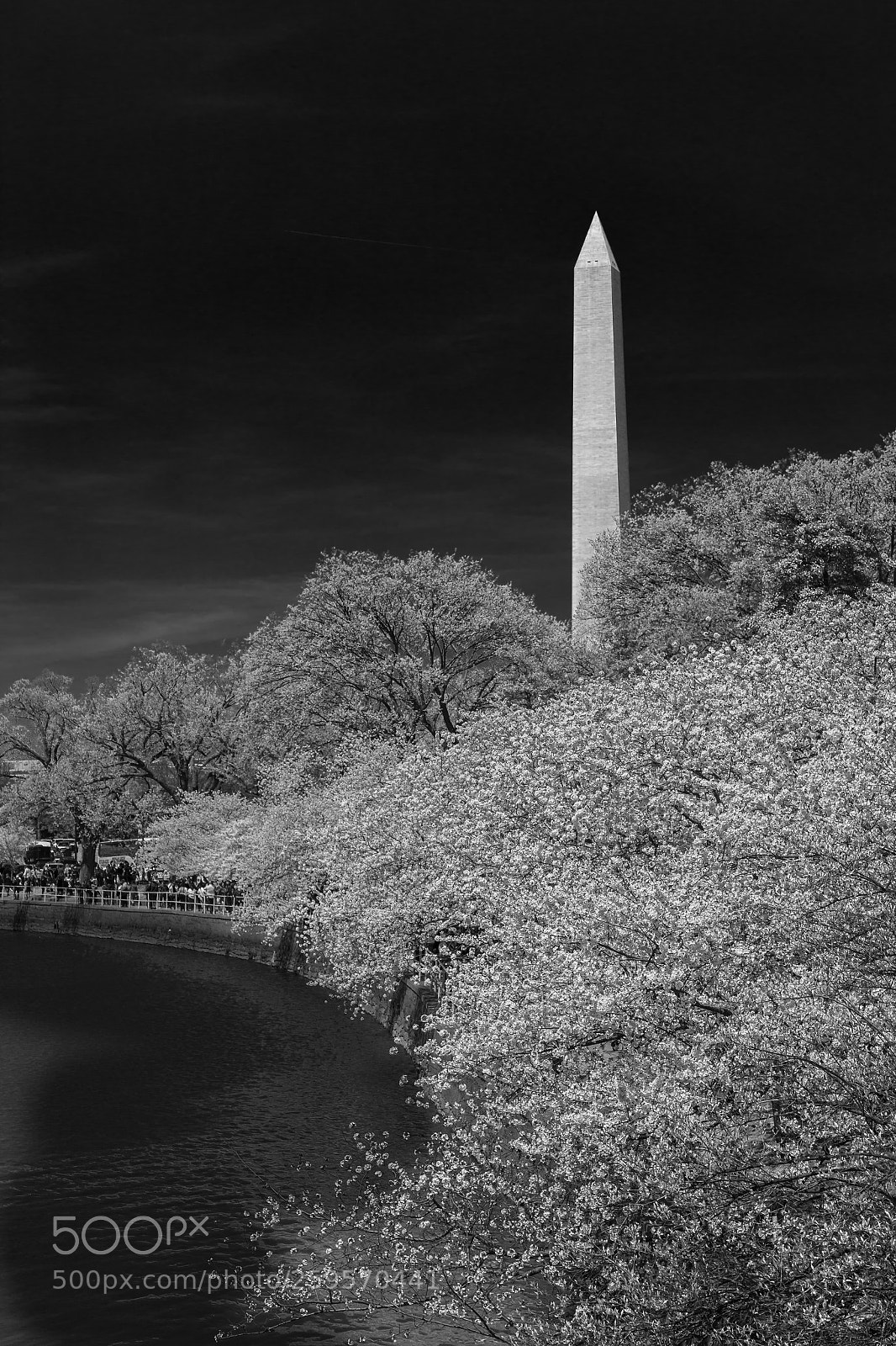 Canon EOS 6D sample photo. April in washington photography