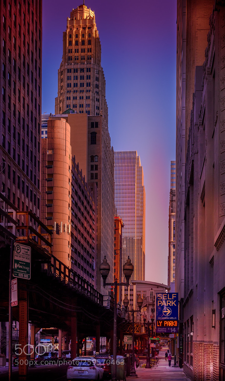 Nikon D810 sample photo. Golden hour in chicago photography