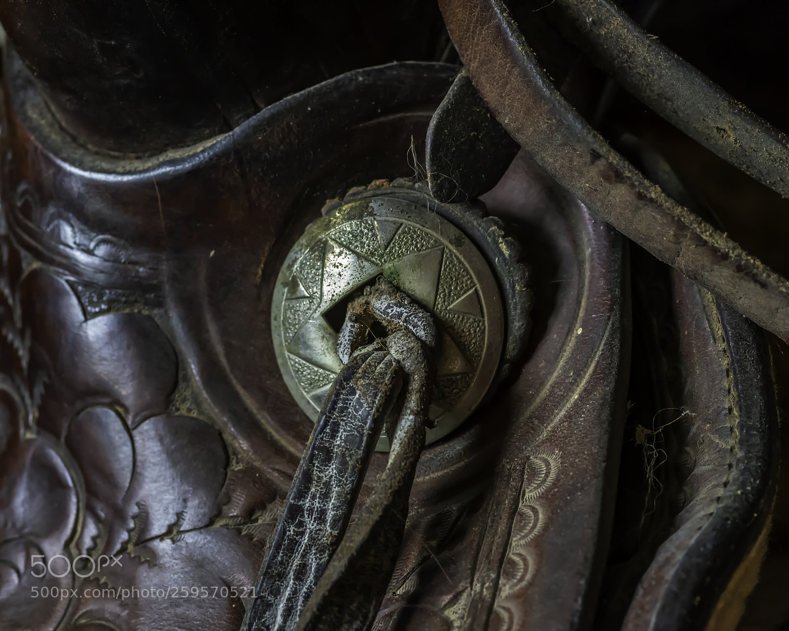 Nikon D750 sample photo. Memories and old leather photography
