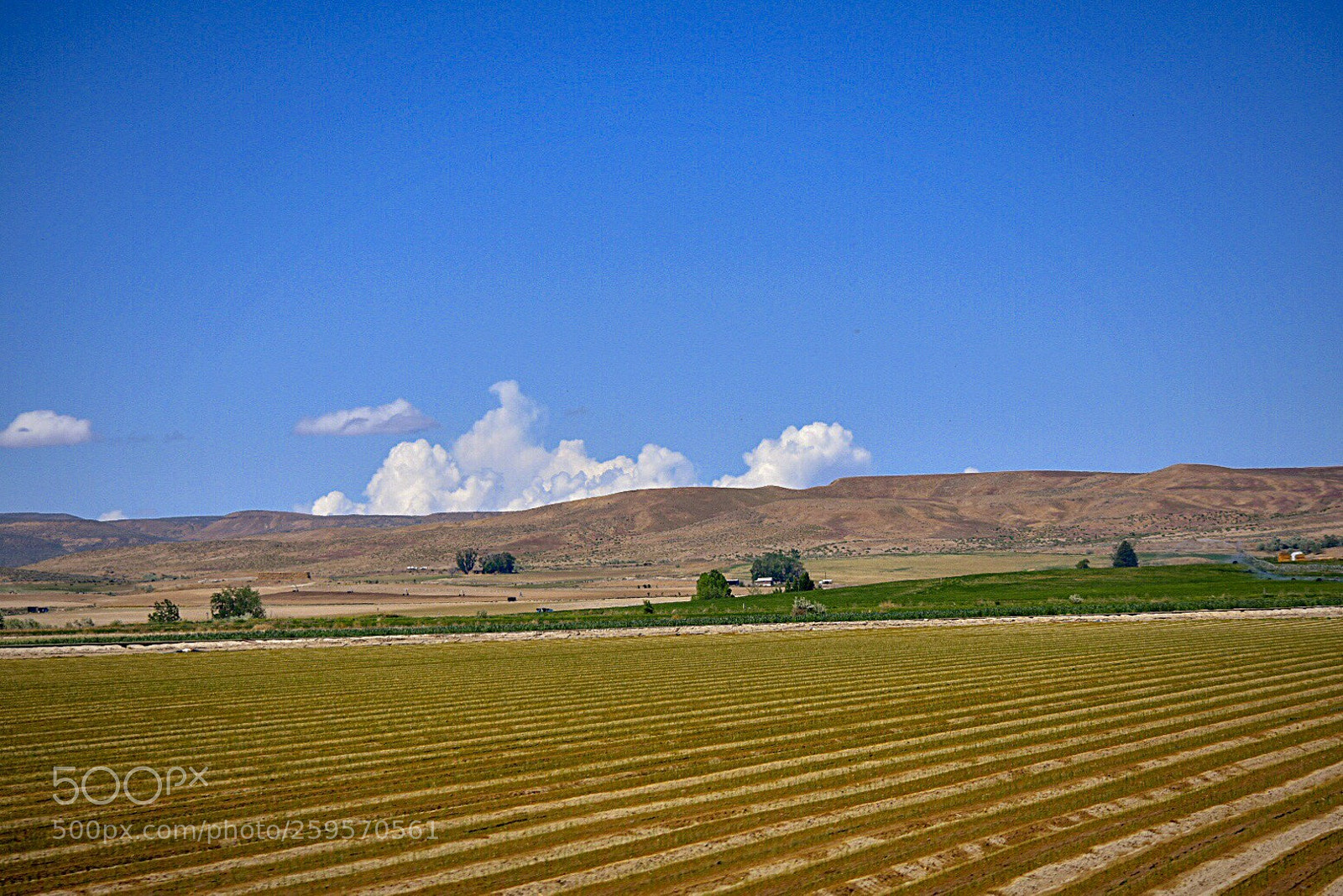Nikon D3400 sample photo. Farm photography